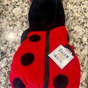 Cute Red and Black Ladybug Costume with Hood- New with Tags